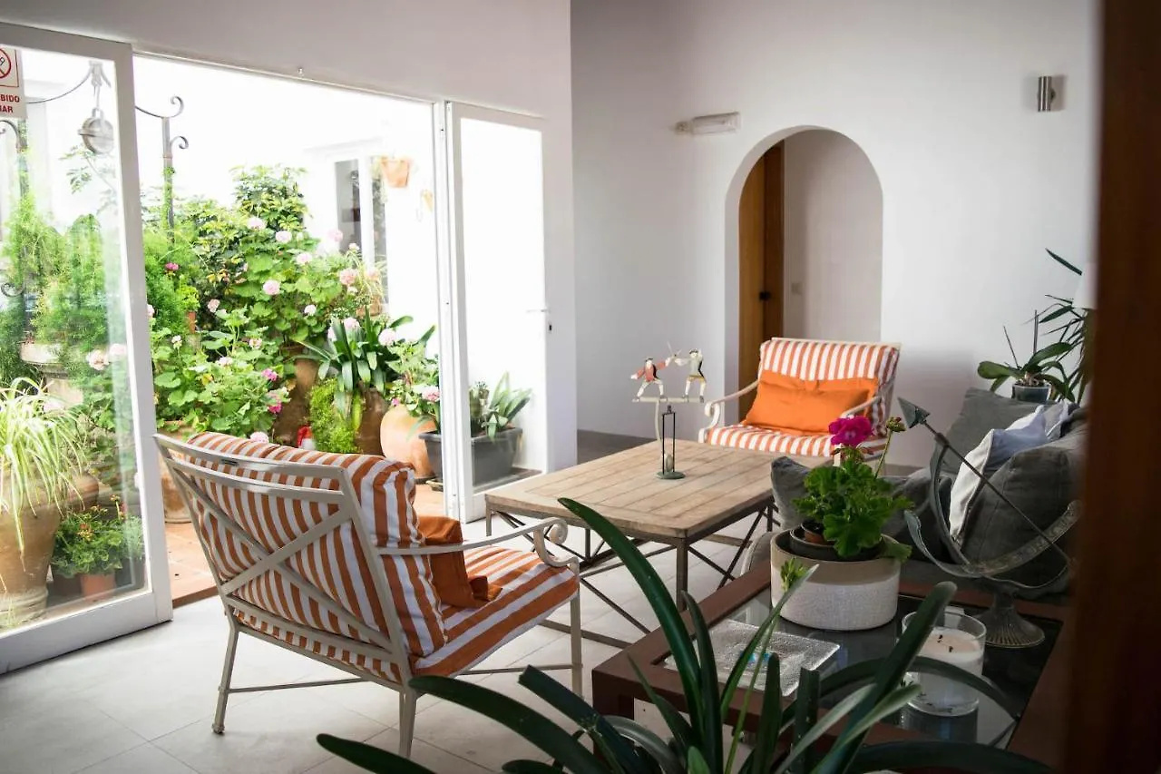 Villa Alexia- Apartment Aqua - Puerto Pollensa